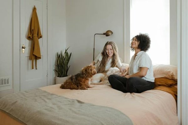 Les règles essentielles de la colocation à Perpignan : un guide complet pour une cohabitation harmonieuse